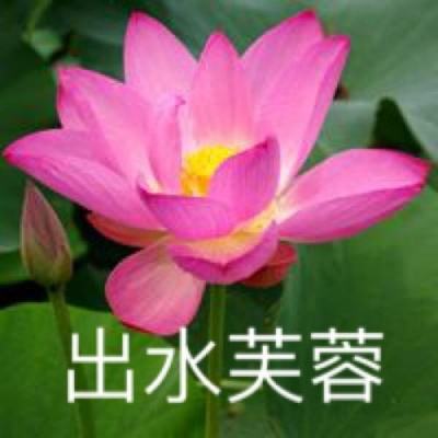 美国抵押贷款利率飙升至五个月高点 凸显战争的经济影响扩大